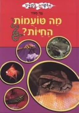 עטיפת הספר מה טועמות החיות? מאת בני מאיר