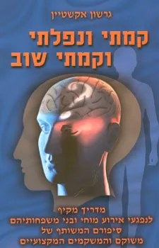 קמתי ונפלתי וקמתי שוב