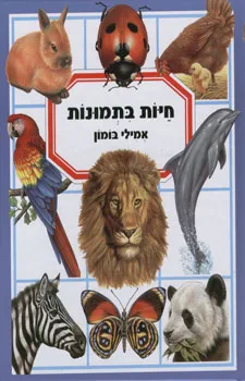 חיות בתמונות