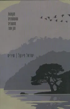 מקומות שהשעונים מחשבים זמן אחר