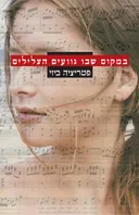 במקום שבו גוועים הצלילים