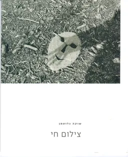 צילום חי
