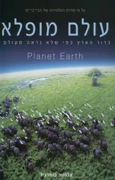 עולם מופלא