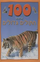 100 עובדות על חתולים גדולים
