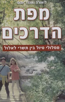 מפת הדרכים