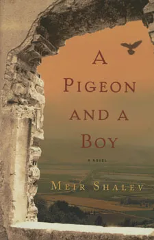 A pigeon and a boy