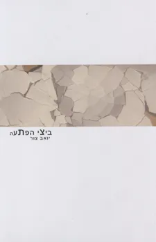 עטיפת הספר ביצי הפתעה מאת יואב צור