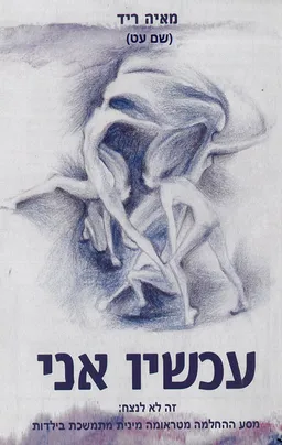 עכשיו אני