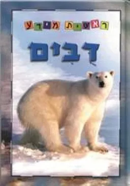עטיפת הספר דובים: סדרת ראשית מידע מאת 