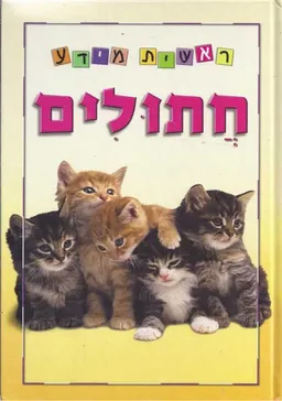 חתולים - סדרת ראשית מידע