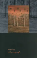 לִפְנֵי שֶׁיֵּרֵד הַלַּיְלָה
