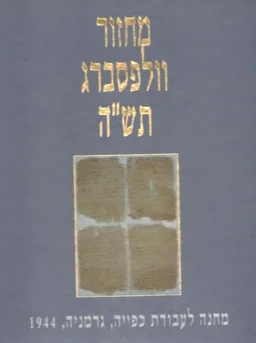 עטיפת הספר מחזור וולפסברג מאת בלה גוטרמן