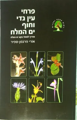 פרחי עין גדי וחוף ים המלח