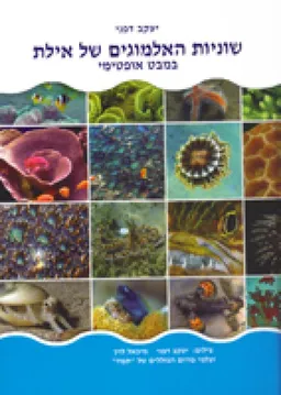 שוניות האלמוגים של אילת