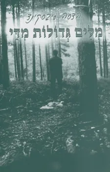 מלים גדולות מדי