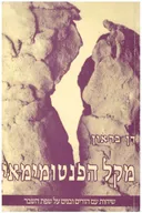 מקל הפנטומימאי : שיחות עם הורים ובנים על שפת השבר