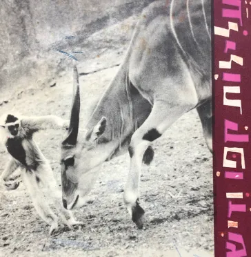 עלילות קפו ודיש