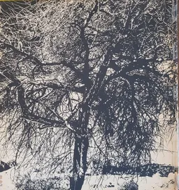 עטיפת הספר הנגב מאת פטר מירום