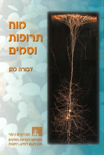 מוח תרופות וסמים
