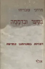 בסער ובדממה