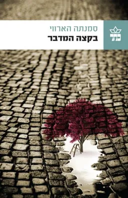 בקצה המדבר