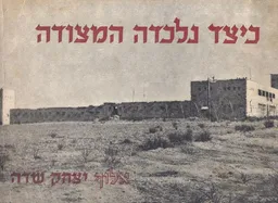 כיצד נלכדה המצודה : כיבוש משטרת עיראק-סוידאן-     בסיפור ובצילום