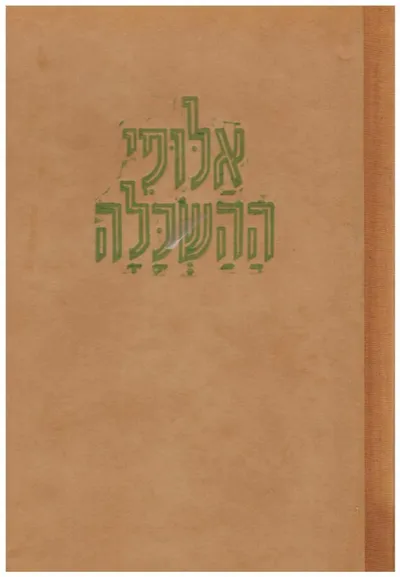 אלופי ההשכלה