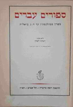 ספורים עברים: מבחר ספורים מתוך ספרותנו החדשה מראשיתה ועד ימינו