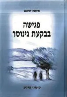עטיפת הספר פגישה בבקעת גינוסר מאת חיותה דויטש