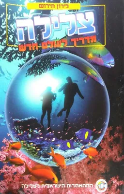 עטיפת הספר צלילה מאת לירון תירוש