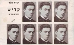 עטיפת הספר קדיש ושירים אחרים  מאת עודד פלד