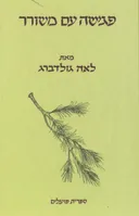 פגישה עם משורר