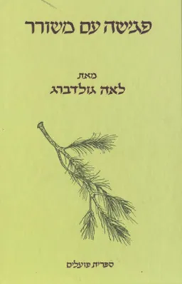 פגישה עם משורר