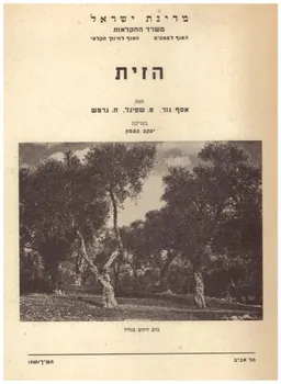 הזית