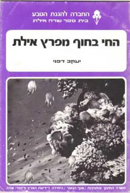 החי בחוף מפרץ אילת