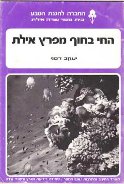 החי בחוף מפרץ אילת