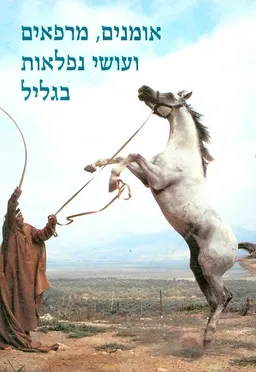 אומנים, מרפאים ועושי נפלאות בגליל