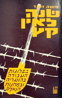 עטיפת הספר שנה לאין קץ מאת משה זנבר