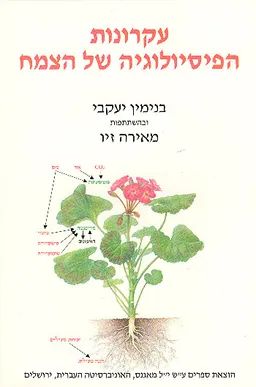 עטיפת עקרונות הפיסיולוגיה של הצמח
