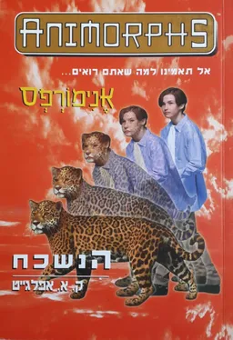 עטיפת הספר אנימורפס 11 - הנשכח מאת ק. א. אפלגייט