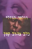כלב צהוב קטן