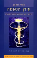 עידן הנשמה