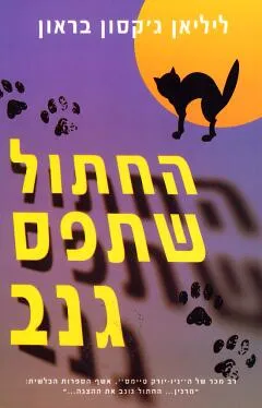 החתול שתפס גנב