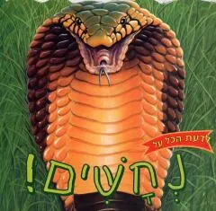 לדעת הכל על