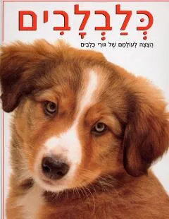 כלבלבים
