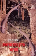 עידן הפרוטיאוס העיוור