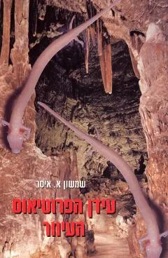 עטיפת הספר עידן הפרוטיאוס העיוור מאת שמשון א. איסר