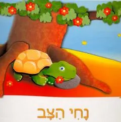 נחי הצב