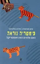 סימטריה נוראה