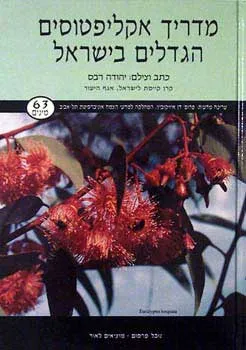 מדריך אקליפטוסים הגדלים בישראל